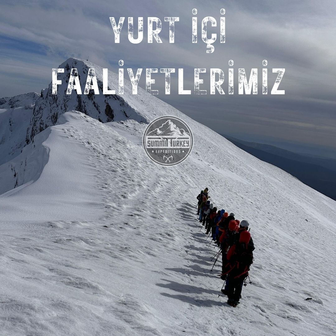 Yurt İçi Faaliyetlerimiz